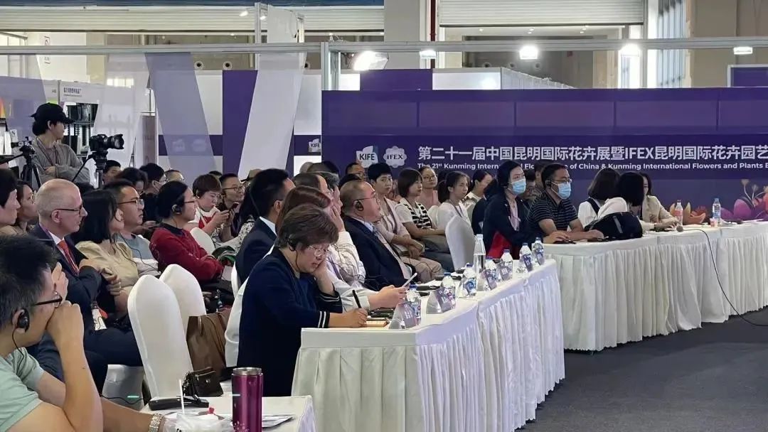 111111.jpg 111111.jpg