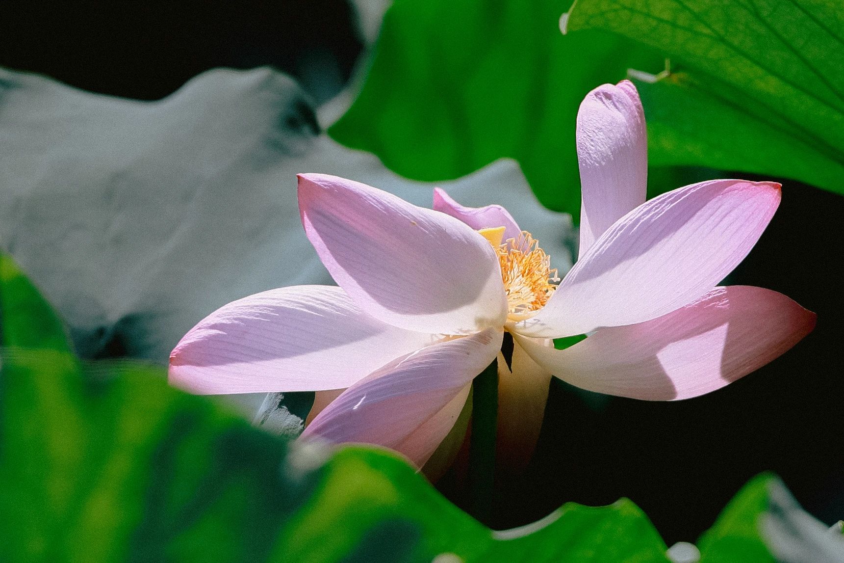 1-1-2Á«.jpg 1-1-2Á«.jpg