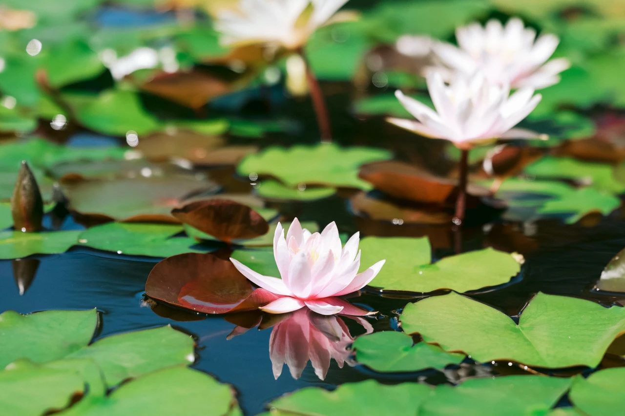 1-1-1˯Á«.jpg 1-1-1˯Á«.jpg