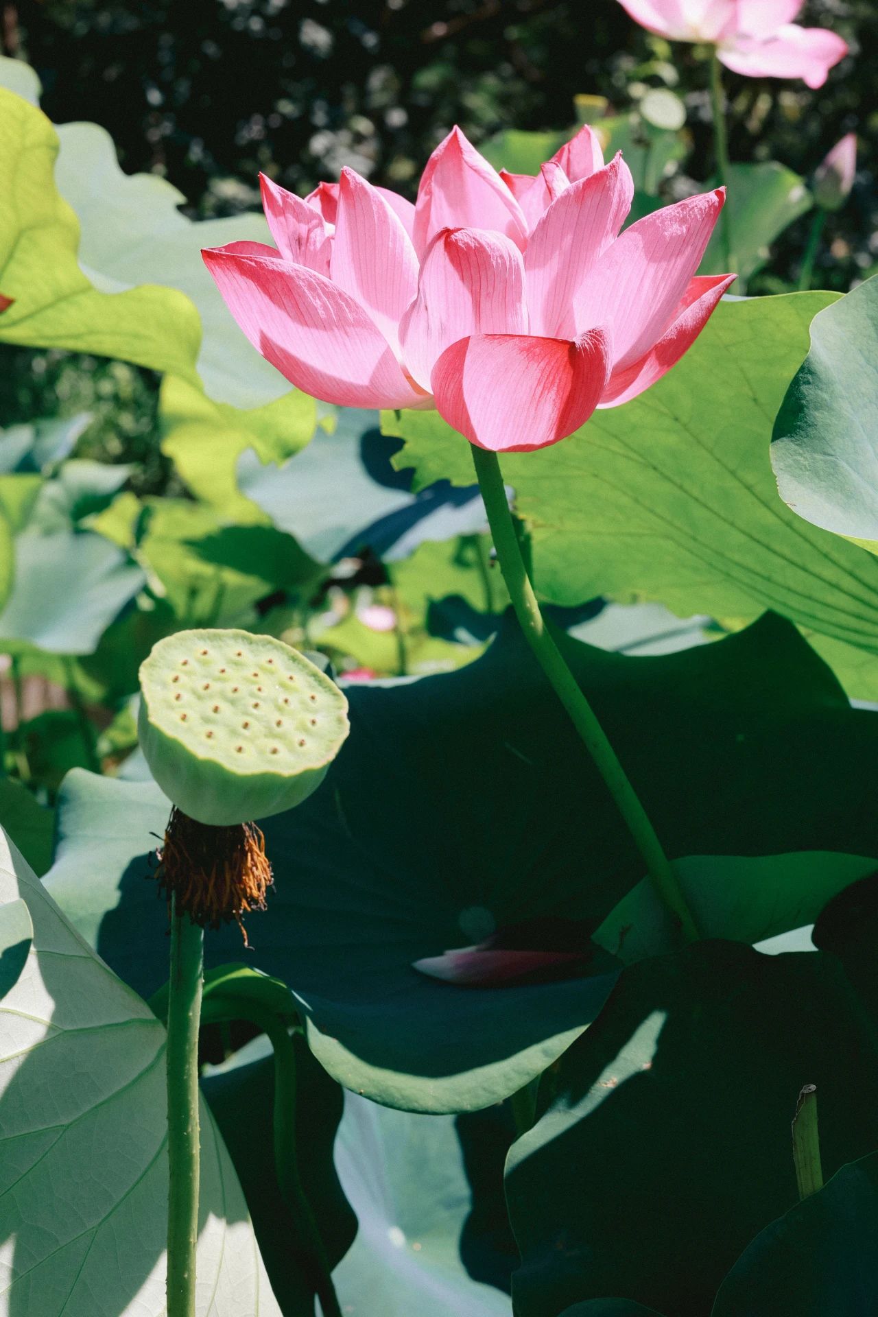 1-3-2Á«.jpg 1-3-2Á«.jpg