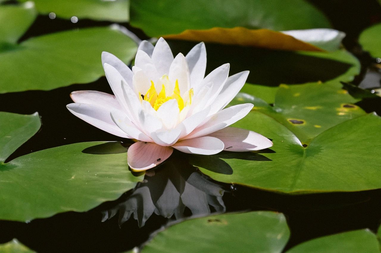 1-3-1˯Á«.jpg 1-3-1˯Á«.jpg