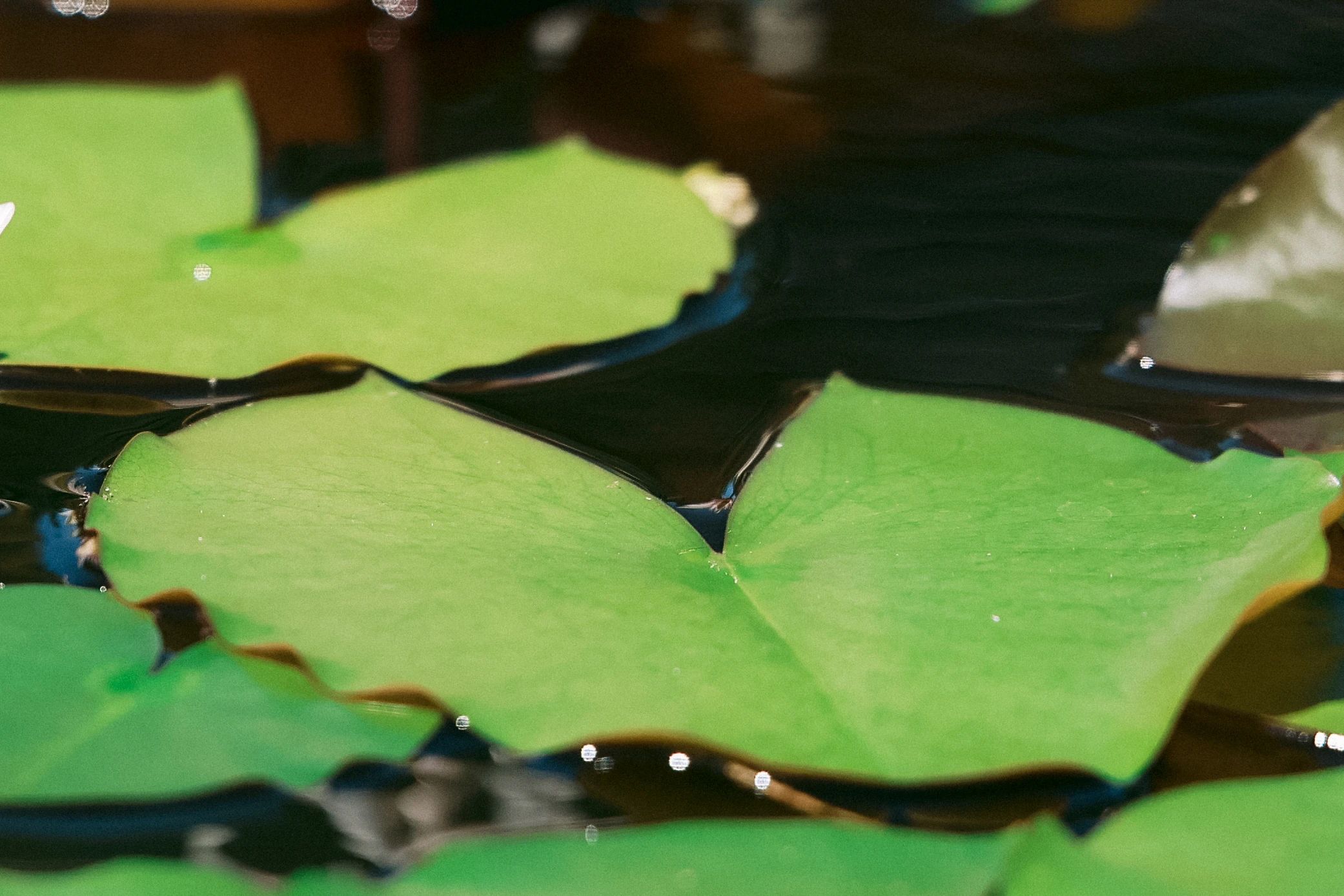 1-2-1˯Á«.jpg 1-2-1˯Á«.jpg