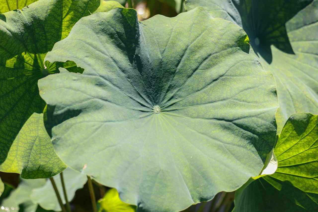 1-2-2Á«.jpg 1-2-2Á«.jpg