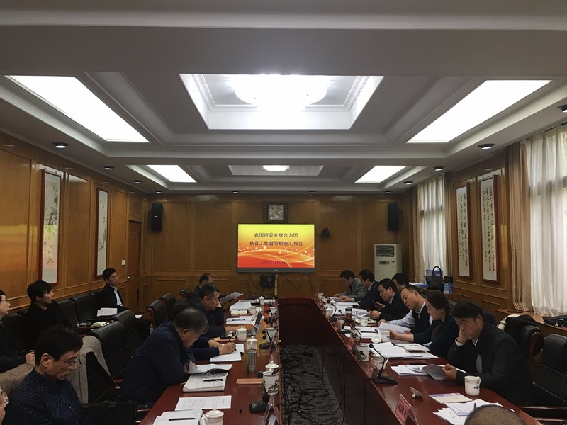 yl6809永利集团参与省国资委安康合力团扶贫工作督导查抄汇报会