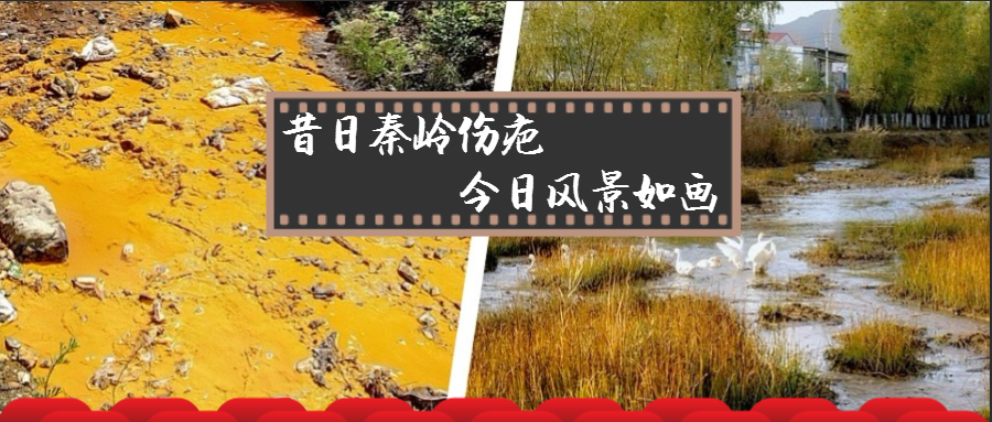 旧日秦岭伤疤 今日景致如画——yl6809永利集团黄龙河道域传染治理侧记