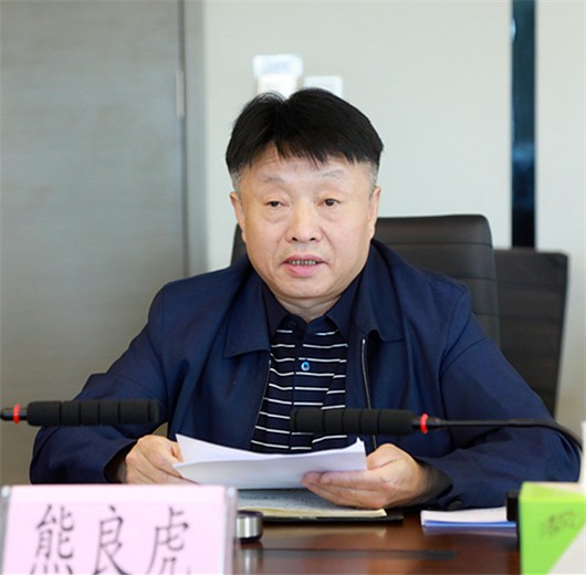 省审计厅投递对集团2018年资产负债损益审计汇报