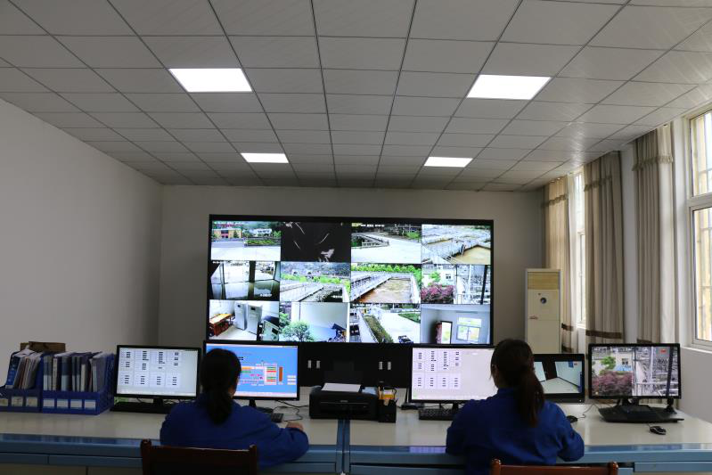 这个端午节，水环境人这么过（二）