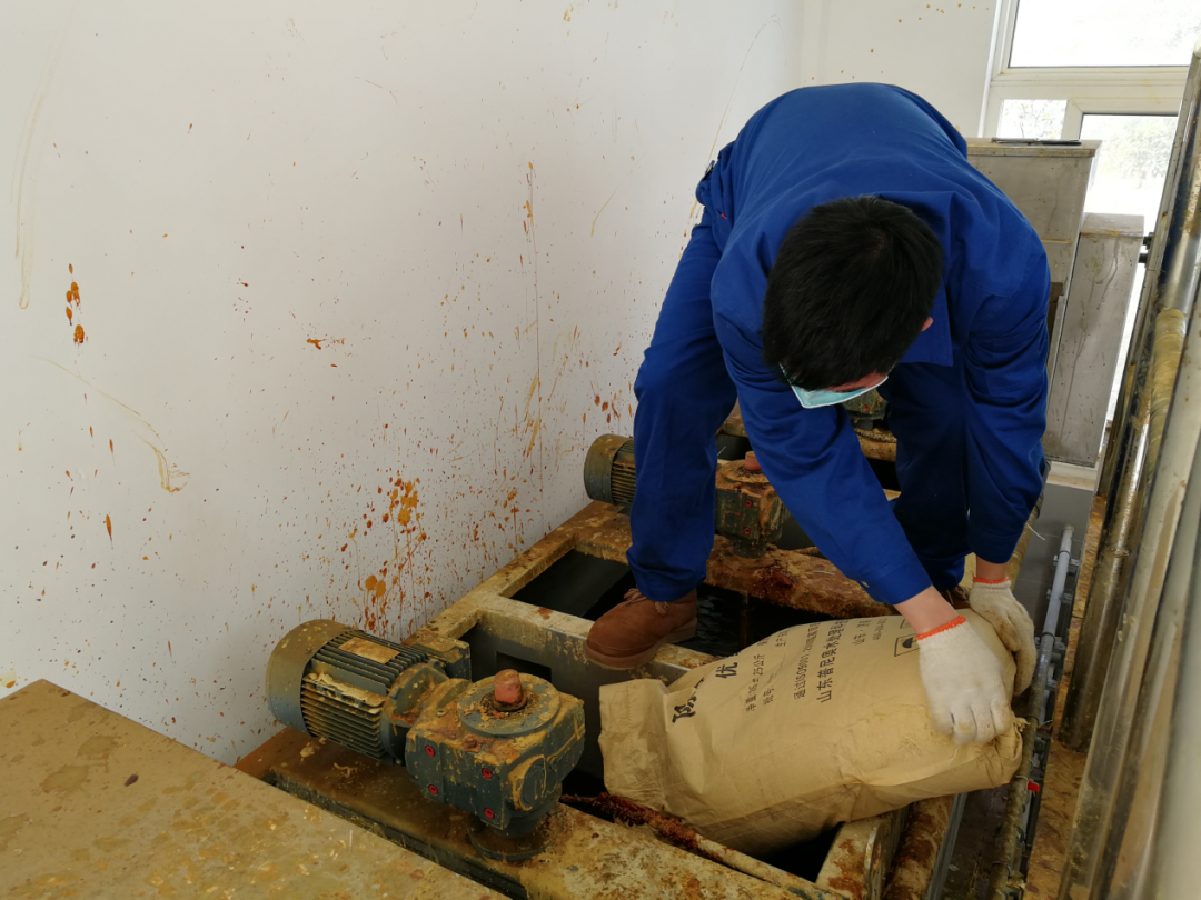 这个端午节，水环境人这么过（二）