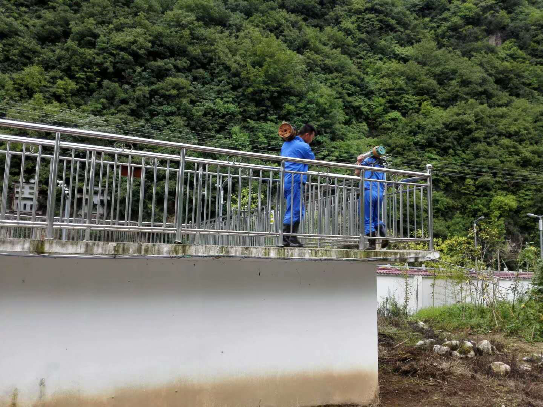 这个端午节，水环境人这么过（二）