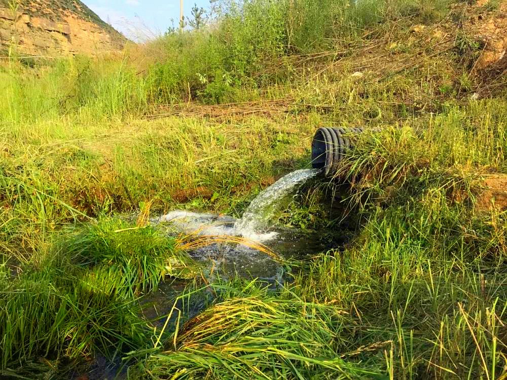 新华社｜添绿色、减排放——yl6809永利集团多产业助力陕西打赢传染防治攻坚战