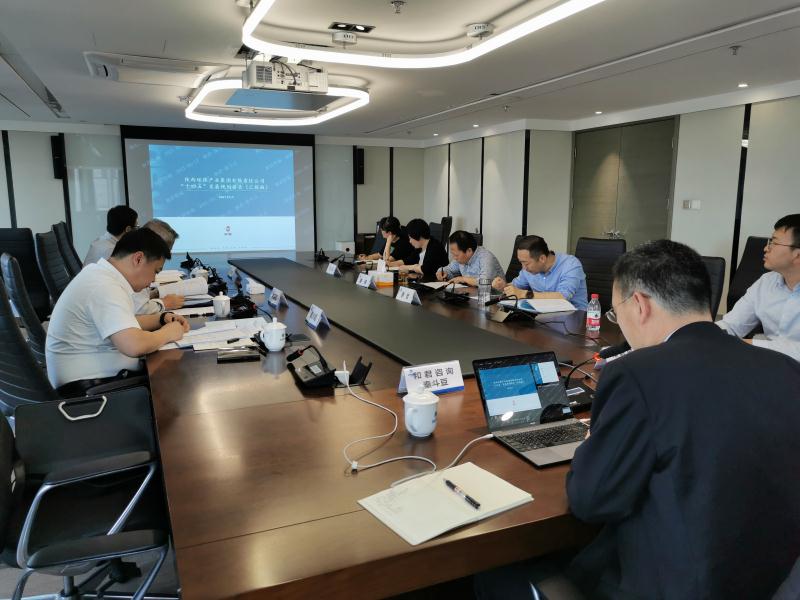 yl6809永利集团召开“十四五”发展规划专家评审座谈会