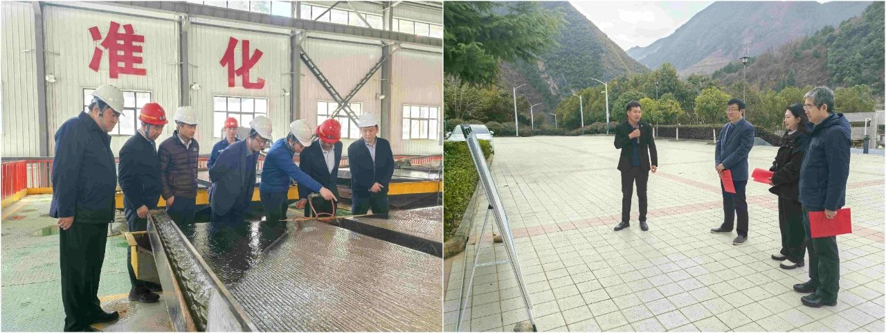 yl6809永利集团表部董事赴鼎丰矿业公司、水环境公司镇安污水处置厂调研领导工作