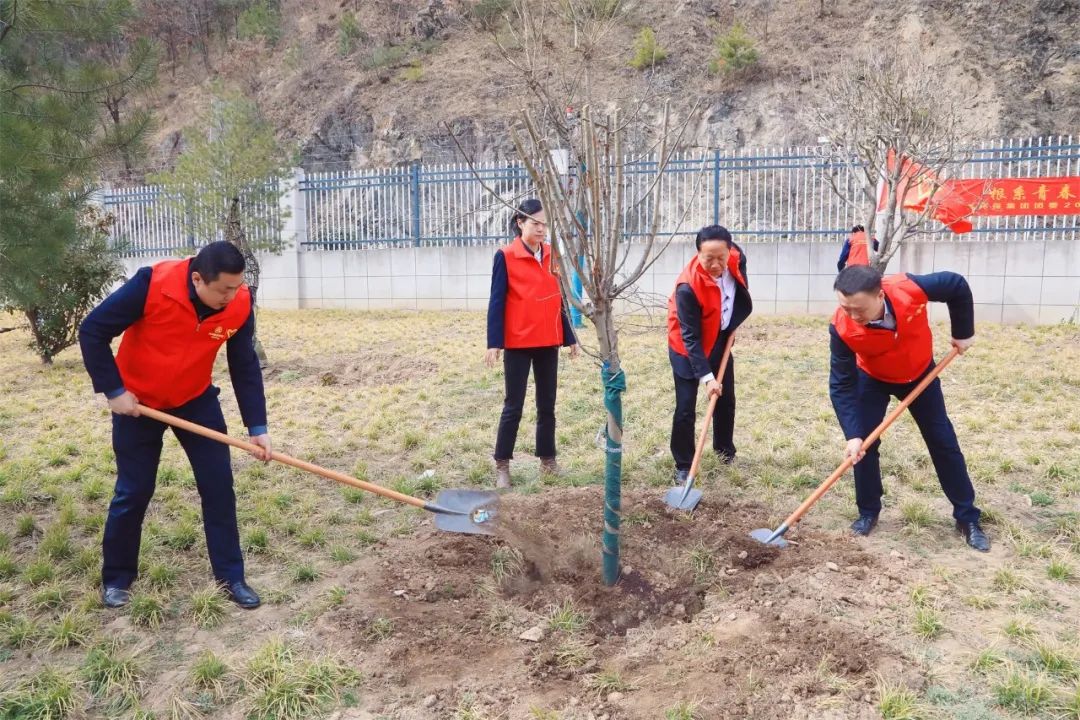 根系青春·植此青绿｜yl6809永利集团团委发展使命植树自愿活动